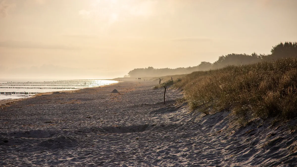 A peaceful misty beach scene at sunrise with soft golden light illuminating the seashore and dunes.